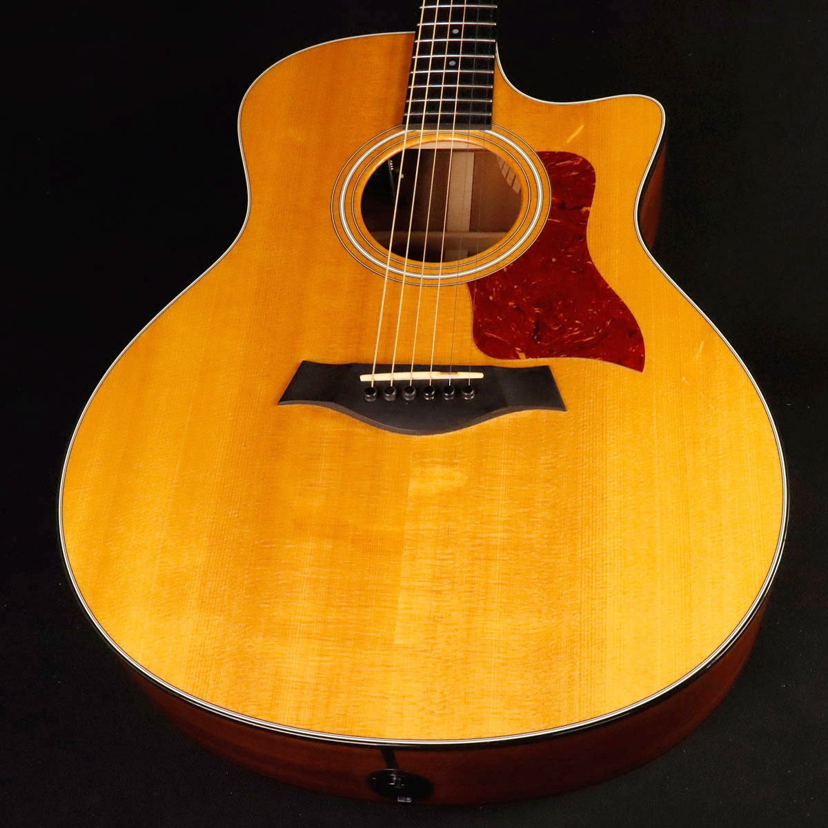 USED Taylor / 316ce / ES1 [12 – Ishibashi Music Corporation.