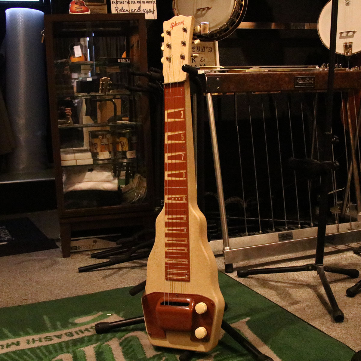 Used on sale lap steel