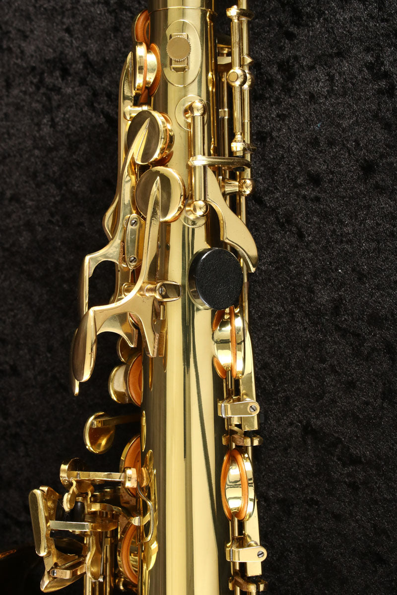 USED Yanagisawa Yanagisawa / Alto A-900 Alto Saxophone [03]