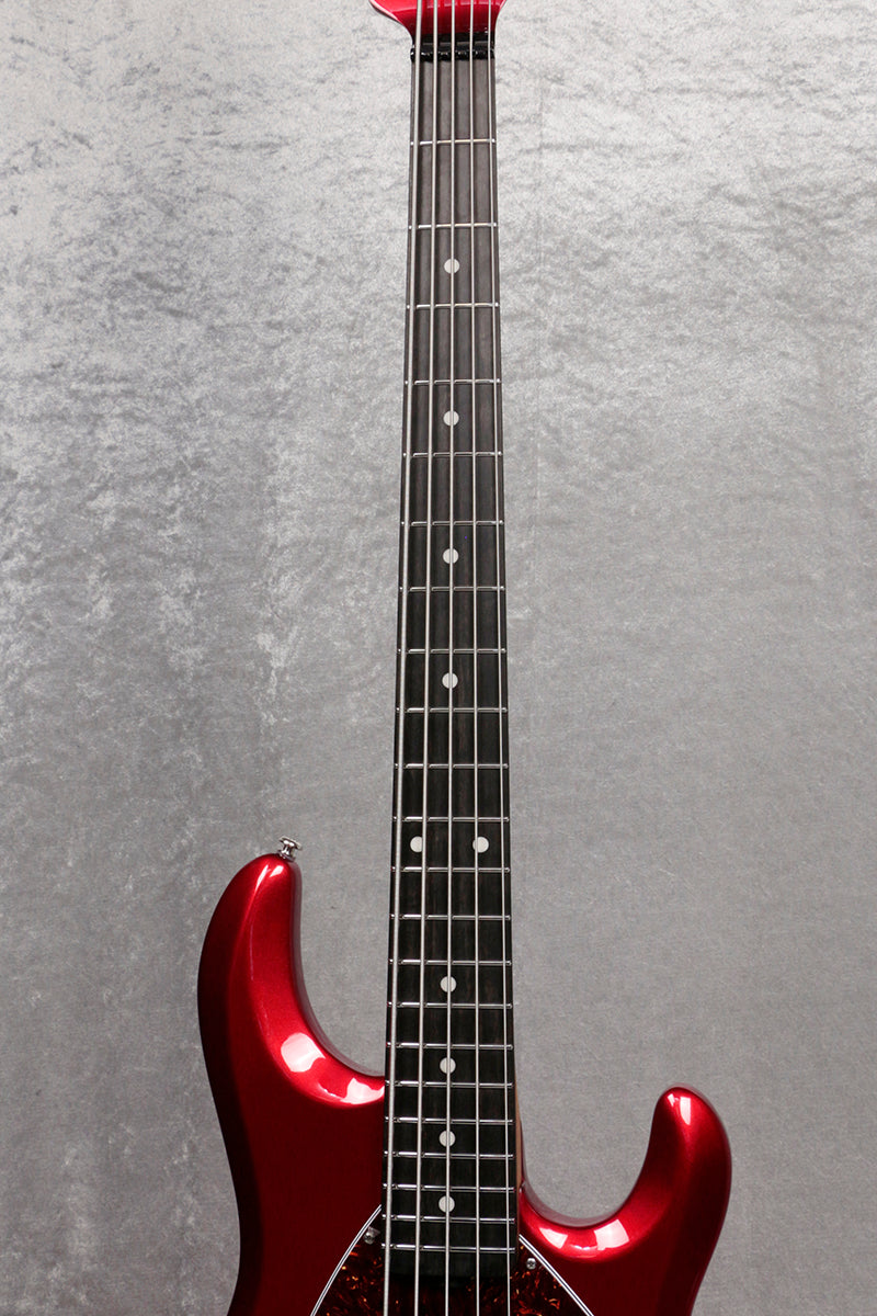 [SN K03593] MUSIC MAN / StingRay Special 5string Candyman / Ebony [06]