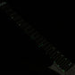 [SN C2407650] Strandberg / Boden Classic NX 6 Tremolo Black [03]