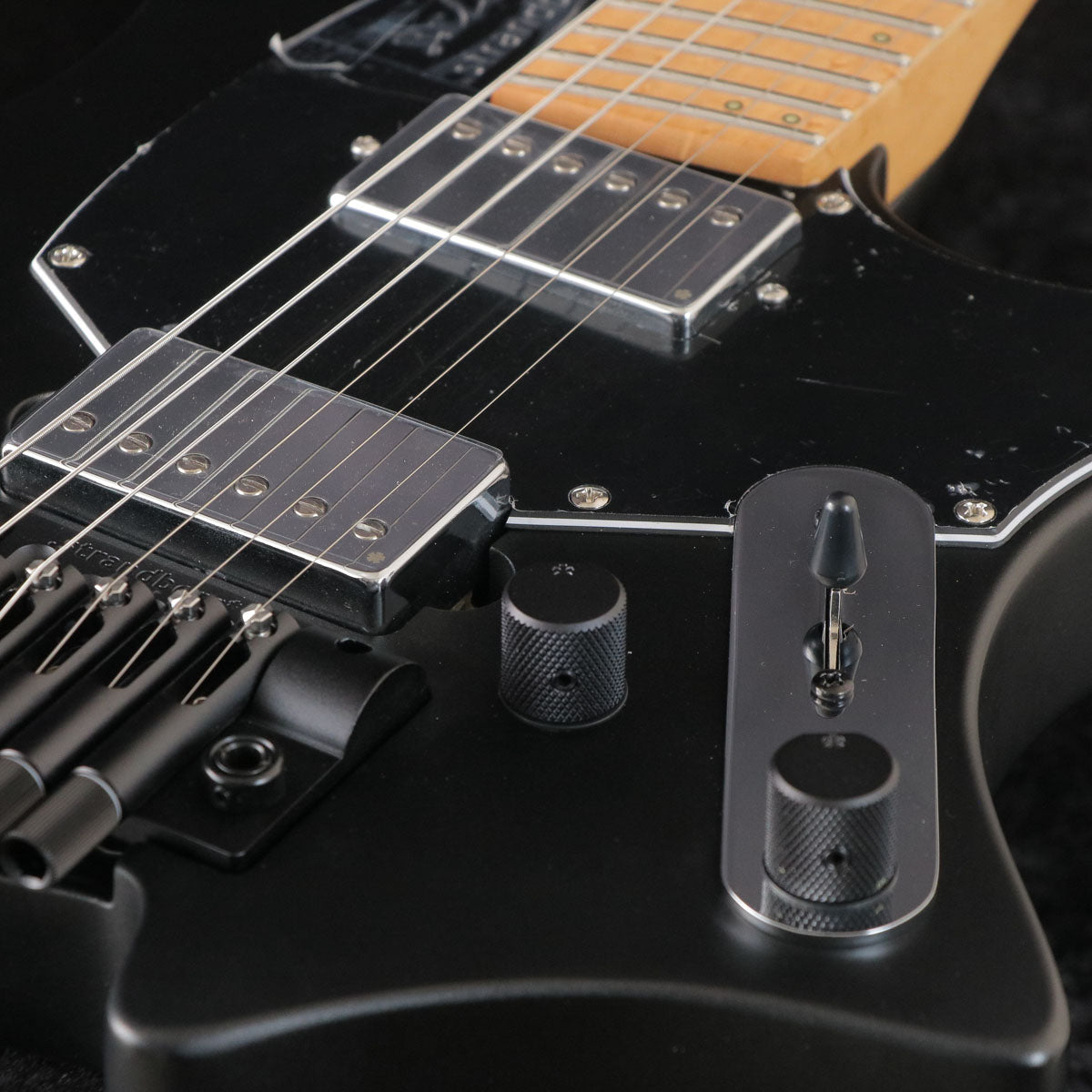 [SN C2409493] Strandberg / Salen Classic NX 6 Tremolo Black [03]