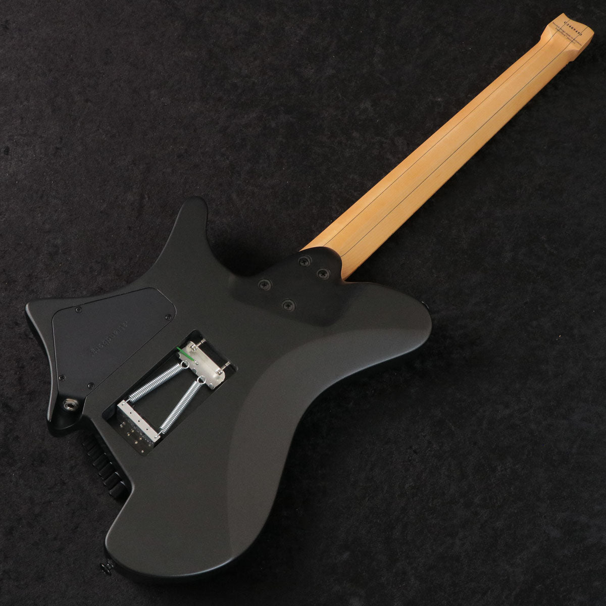 [SN C2409493] Strandberg / Salen Classic NX 6 Tremolo Black [03]