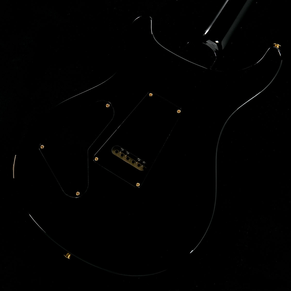 [SN 24 0393119] USED Paul Reed Smith(PRS) / 2024 Custom 24 - 10Top Custom Color Pattern Thin Neck(Weight:3.33kg) [05]
