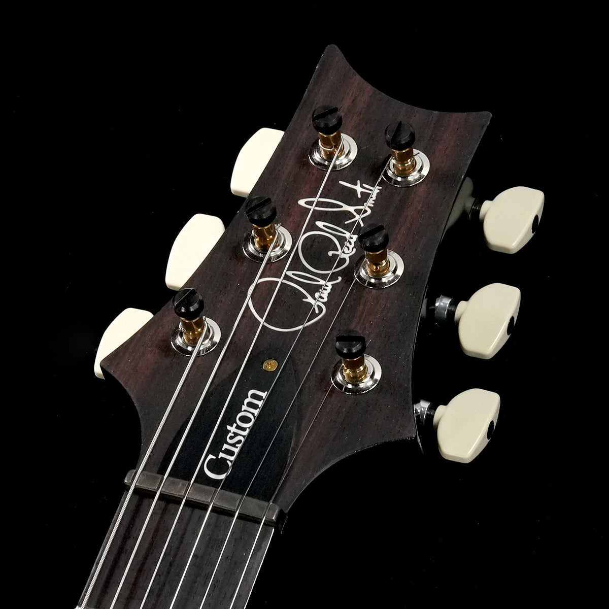 [SN 24 0393119] USED Paul Reed Smith(PRS) / 2024 Custom 24 - 10Top Custom Color Pattern Thin Neck(Weight:3.33kg) [05]