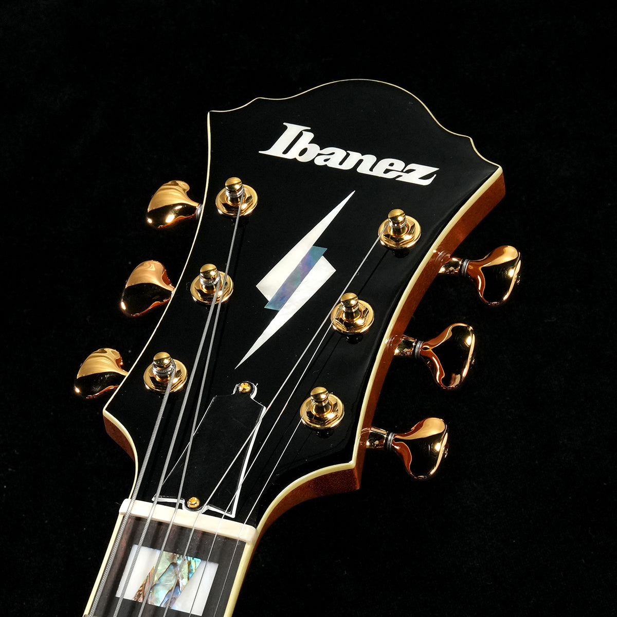 [SN F2517201] Ibanez / Signature Series PM200-NT Natural Pat Metheny(Weight:3.24kg) [05]