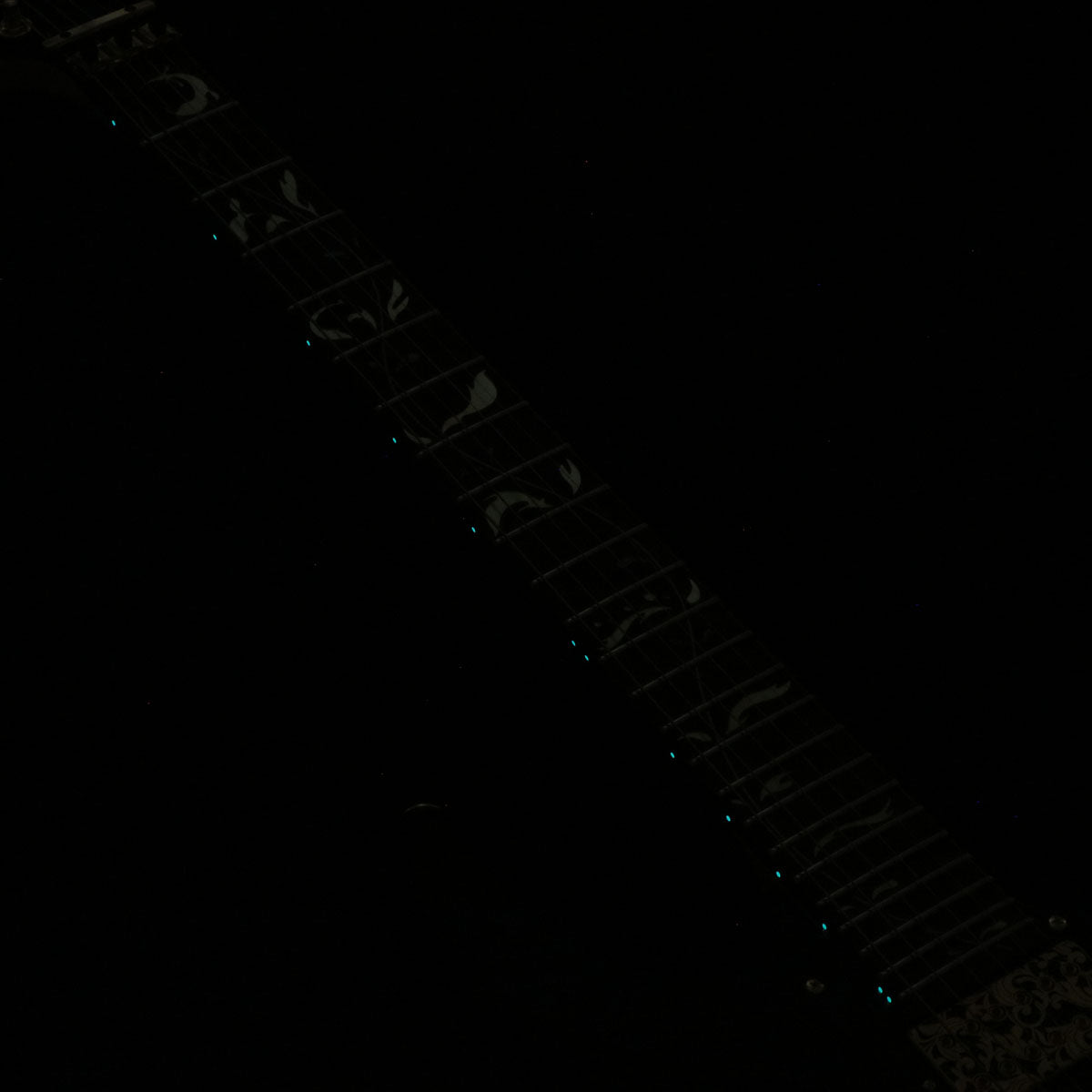 [SN F2516285] Ibanez / "Paradise in Art" Steve Vai signature PIA3761 Onyx Black Ibanez [03]