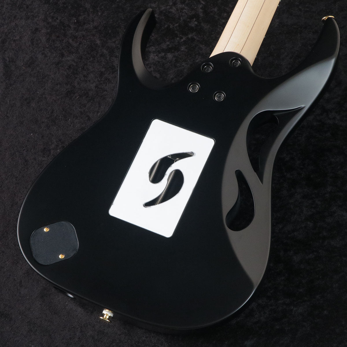 [SN F2516285] Ibanez / "Paradise in Art" Steve Vai signature PIA3761 Onyx Black Ibanez [03]
