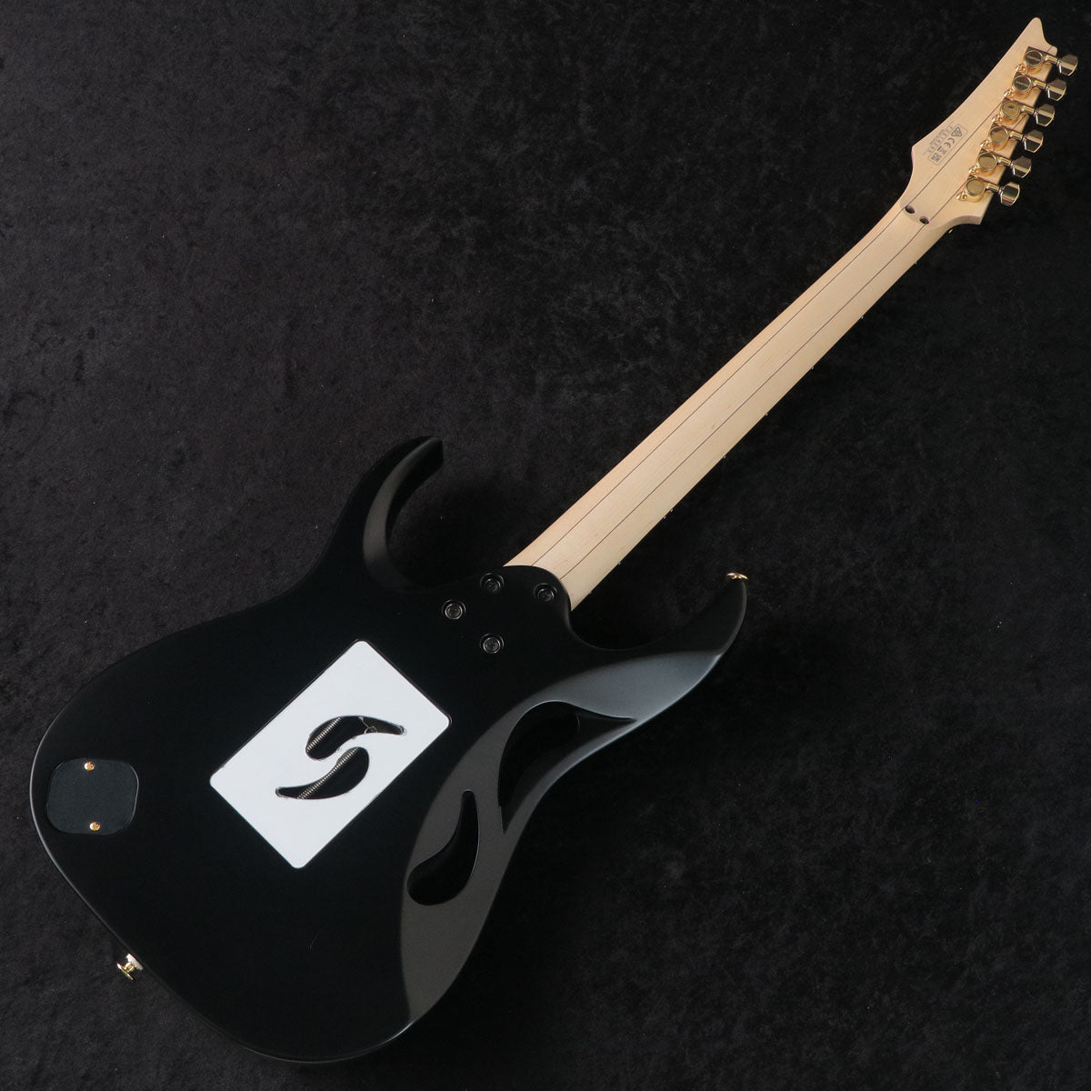[SN F2516285] Ibanez / "Paradise in Art" Steve Vai signature PIA3761 Onyx Black Ibanez [03]