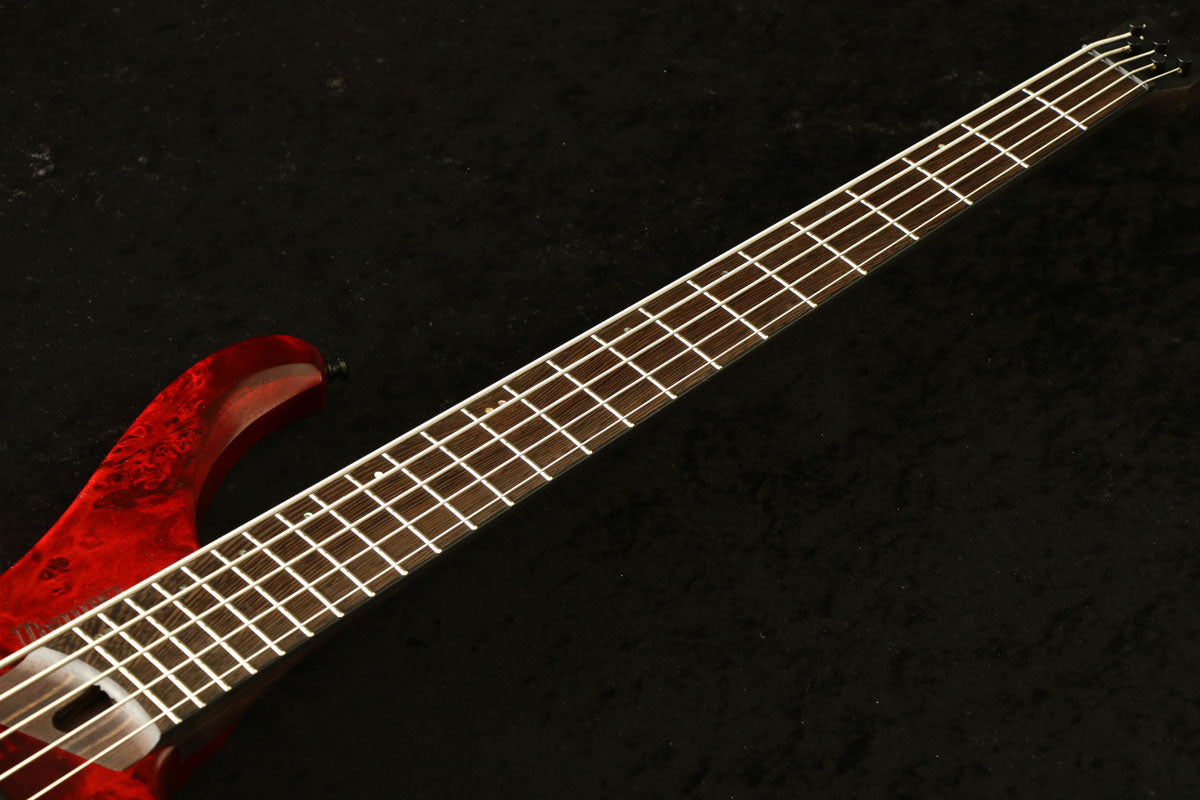 [SN I240609407] Ibanez / EHB1505-SWL (Stained Wine Red Low Gloss) Ibanez [Limited Edition][5-string bass] [03]