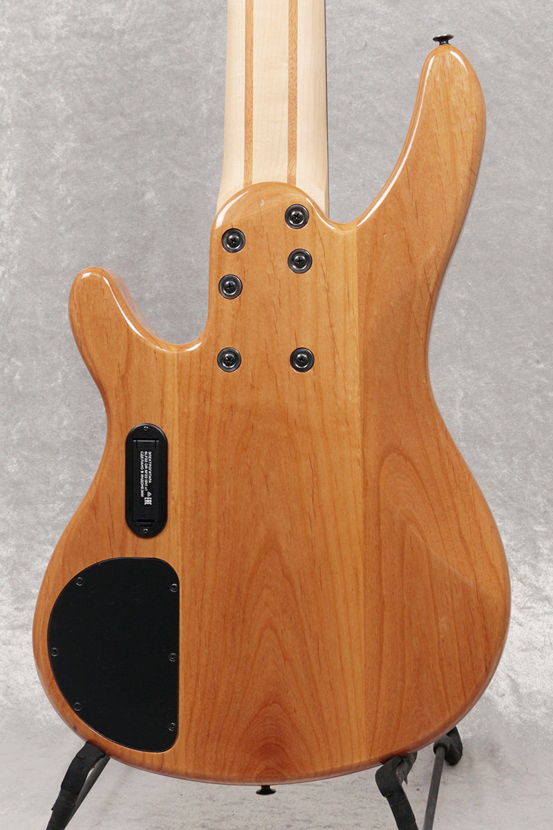 YAMAHA / TRB1006J Natural 6-string bass [06 – Ishibashi