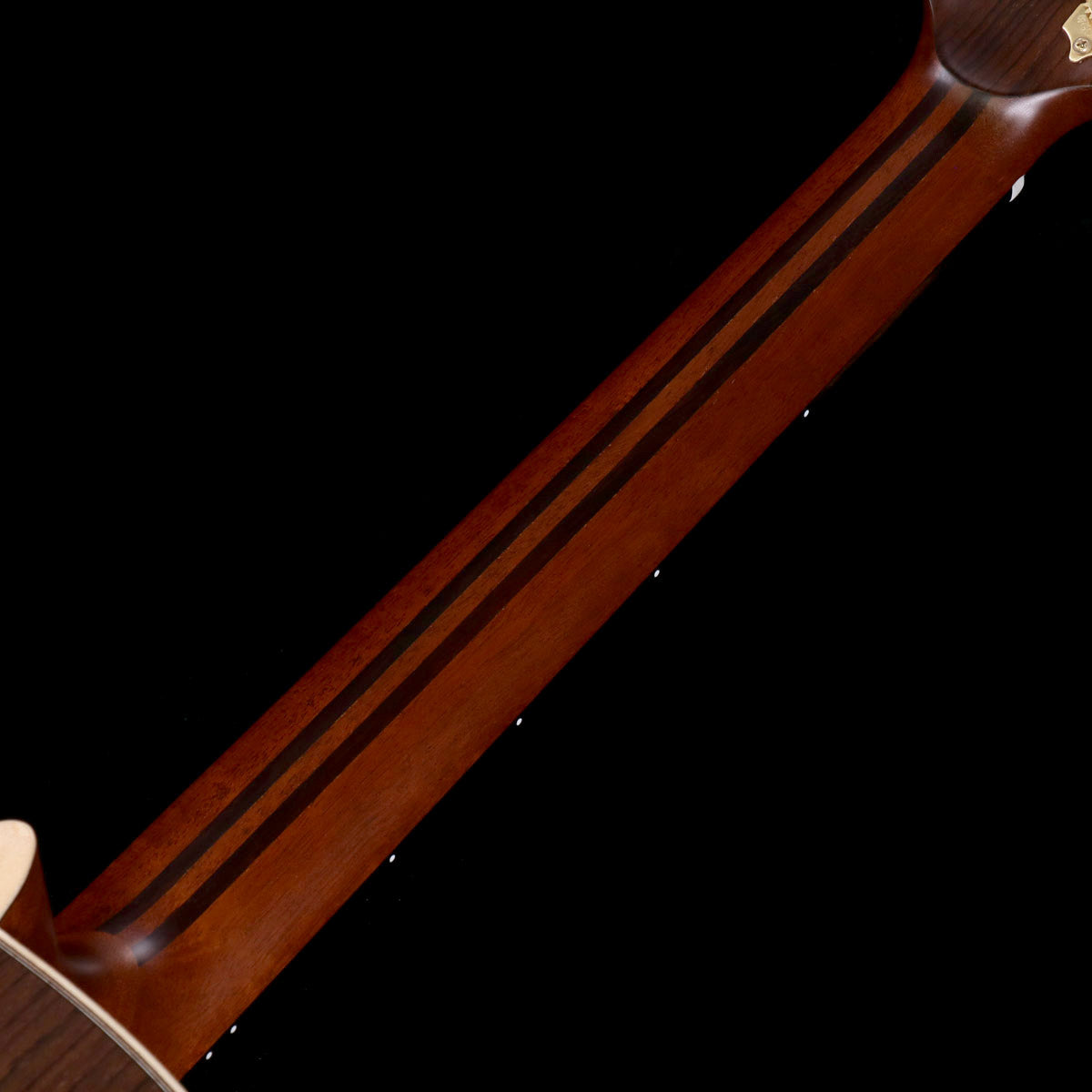 [SN IKP041A] YAMAHA / LL26 ARE Natural (NT) [08]