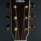 [SN IKP240416] YAMAHA / LL16 ARE Natural (NT) [10]