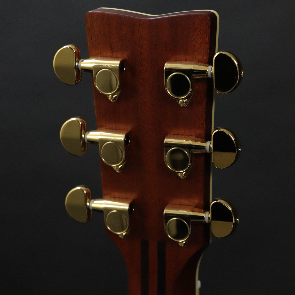 [SN IKZ160603] YAMAHA / LL16 ARE Natural [11]
