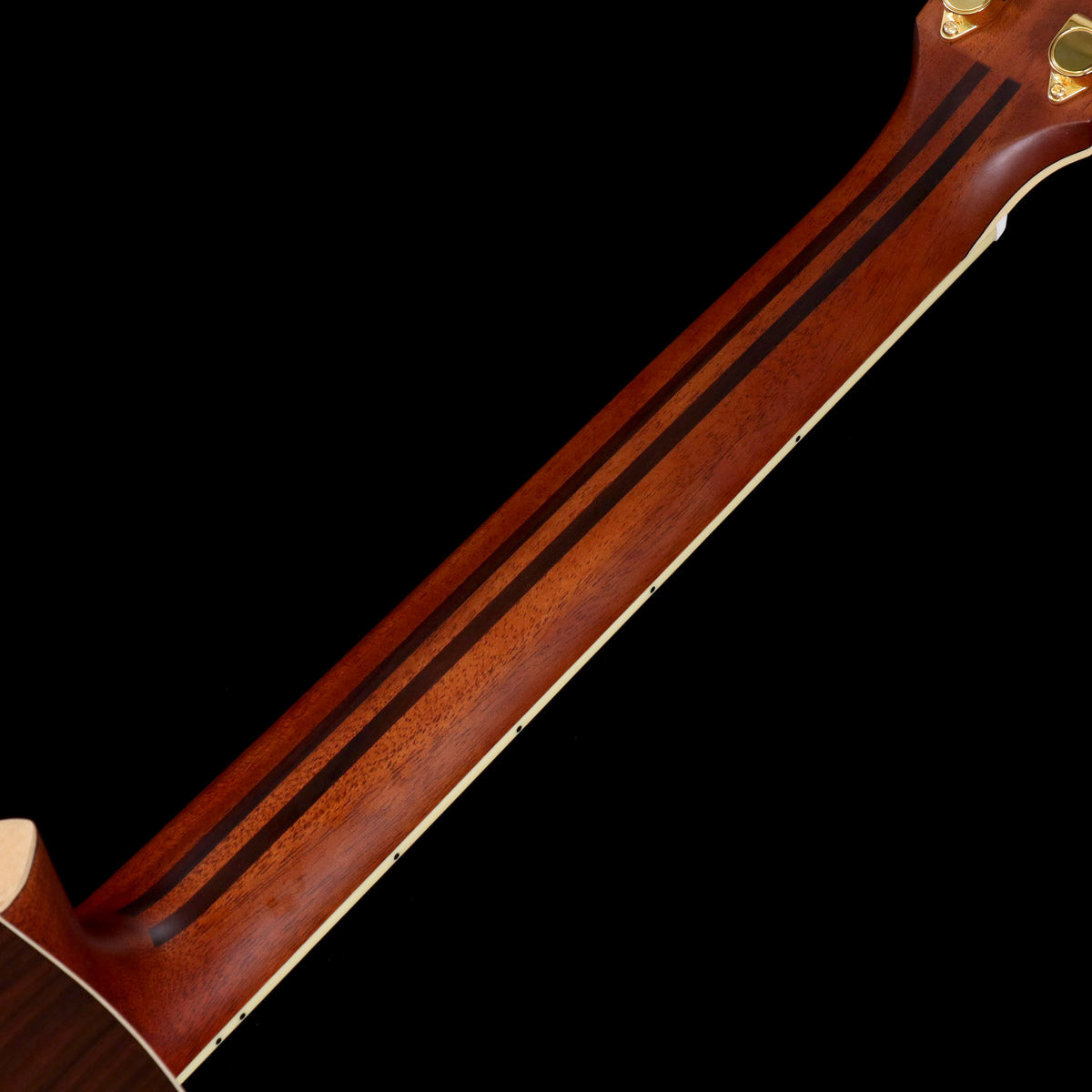 [SN IKO210608] YAMAHA / LL16 ARE Natural (NT) [08]