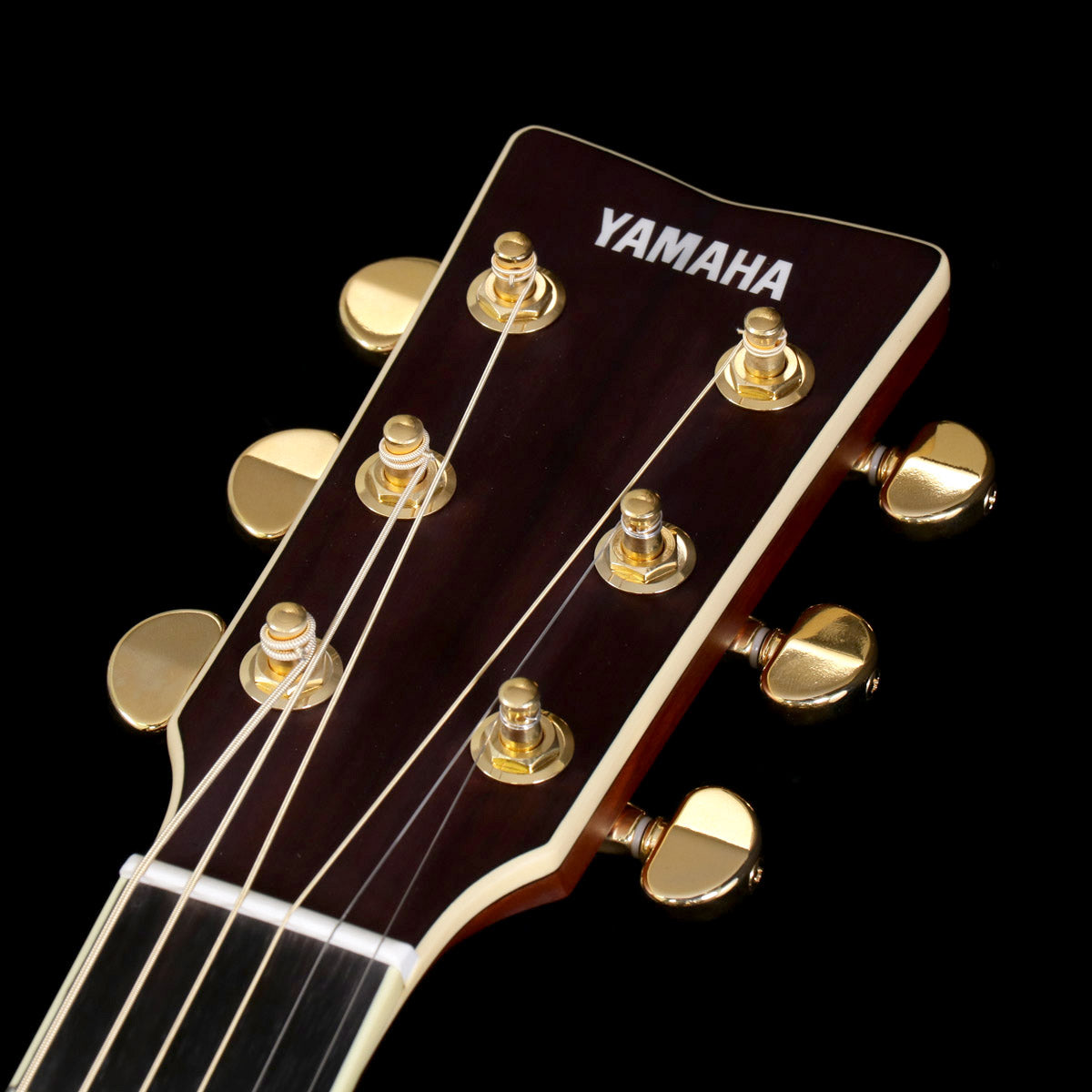 [SN IKO210608] YAMAHA / LL16 ARE Natural (NT) [08]