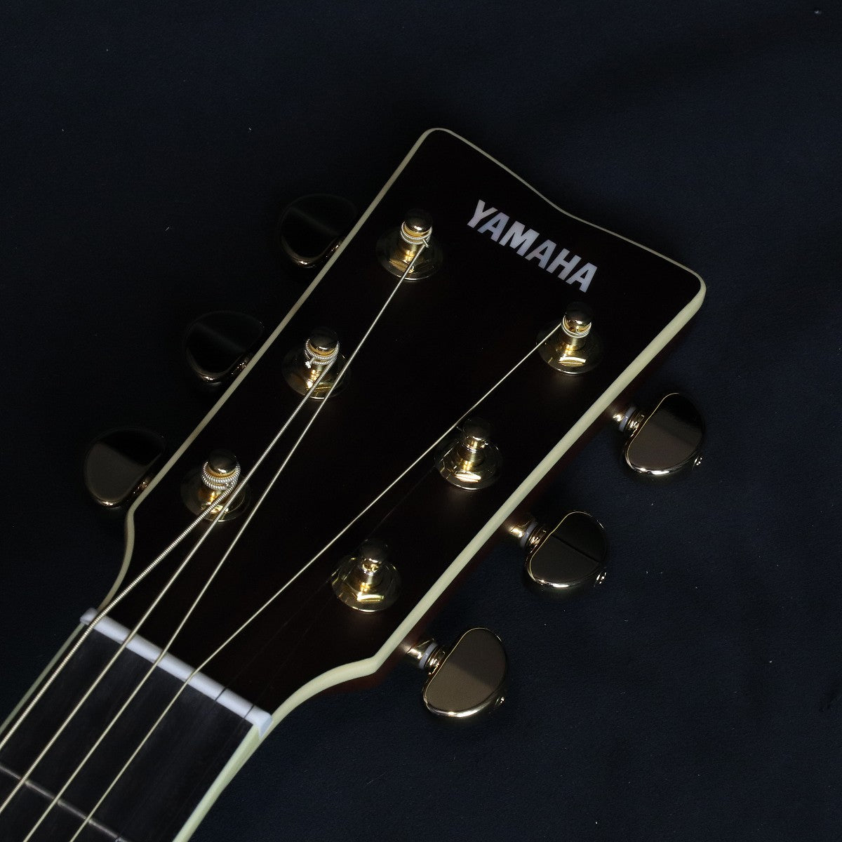 [SN ILJ130265] YAMAHA / LS16 ARE Natural (NT) [09]