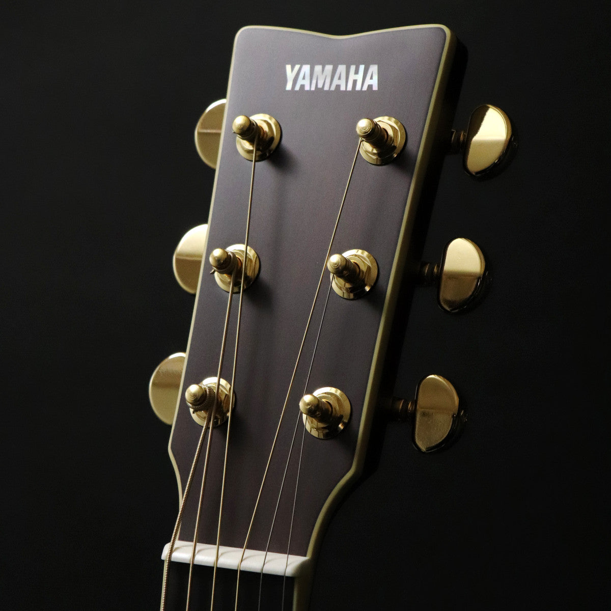 [SN IKP140542] YAMAHA / LL16D ARE Natural [11]