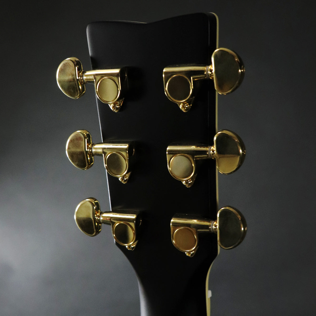 [SN IKX080402] YAMAHA / LL16D ARE Black [11]