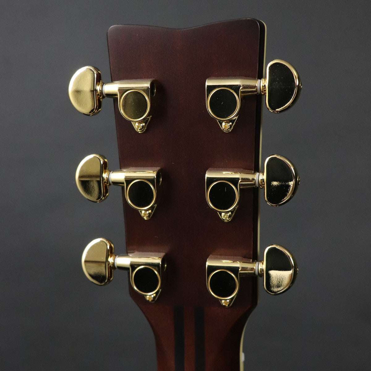 [SN ILJ040106] YAMAHA / L Series LS16M ARE Natural [11]