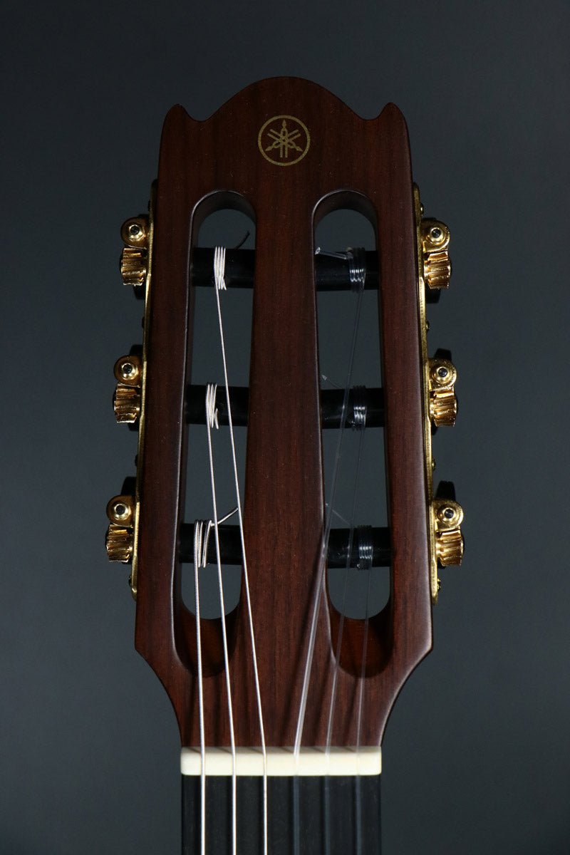 [SN ILK212A] YAMAHA / NTX5 Natural [10]