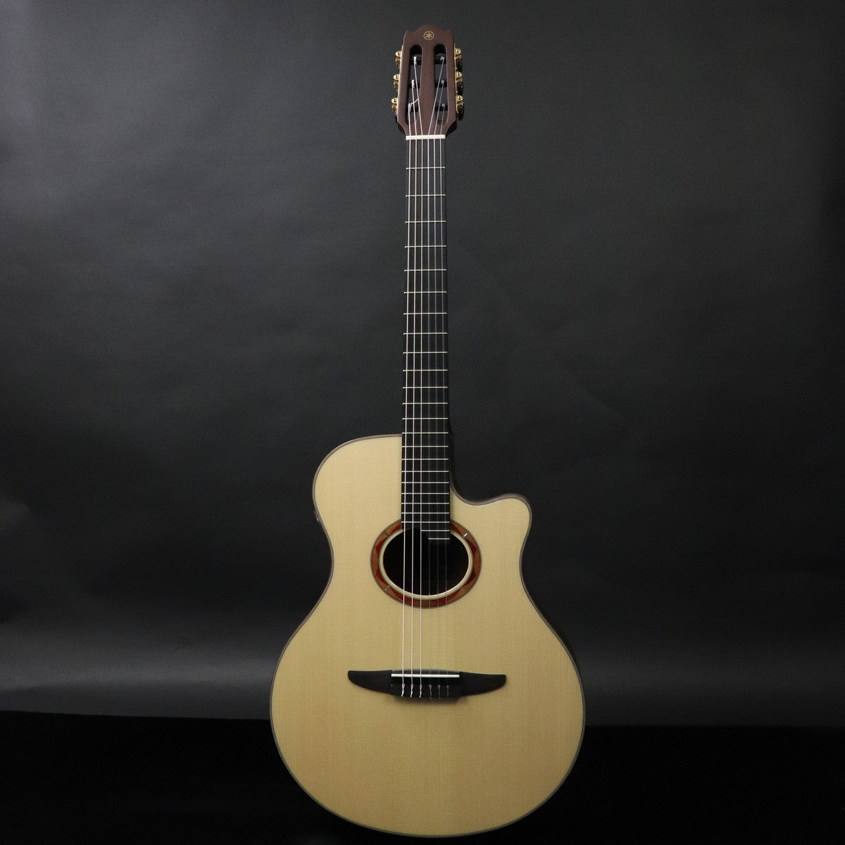 [SN ILK239A] YAMAHA / NTX5 Natural [11]