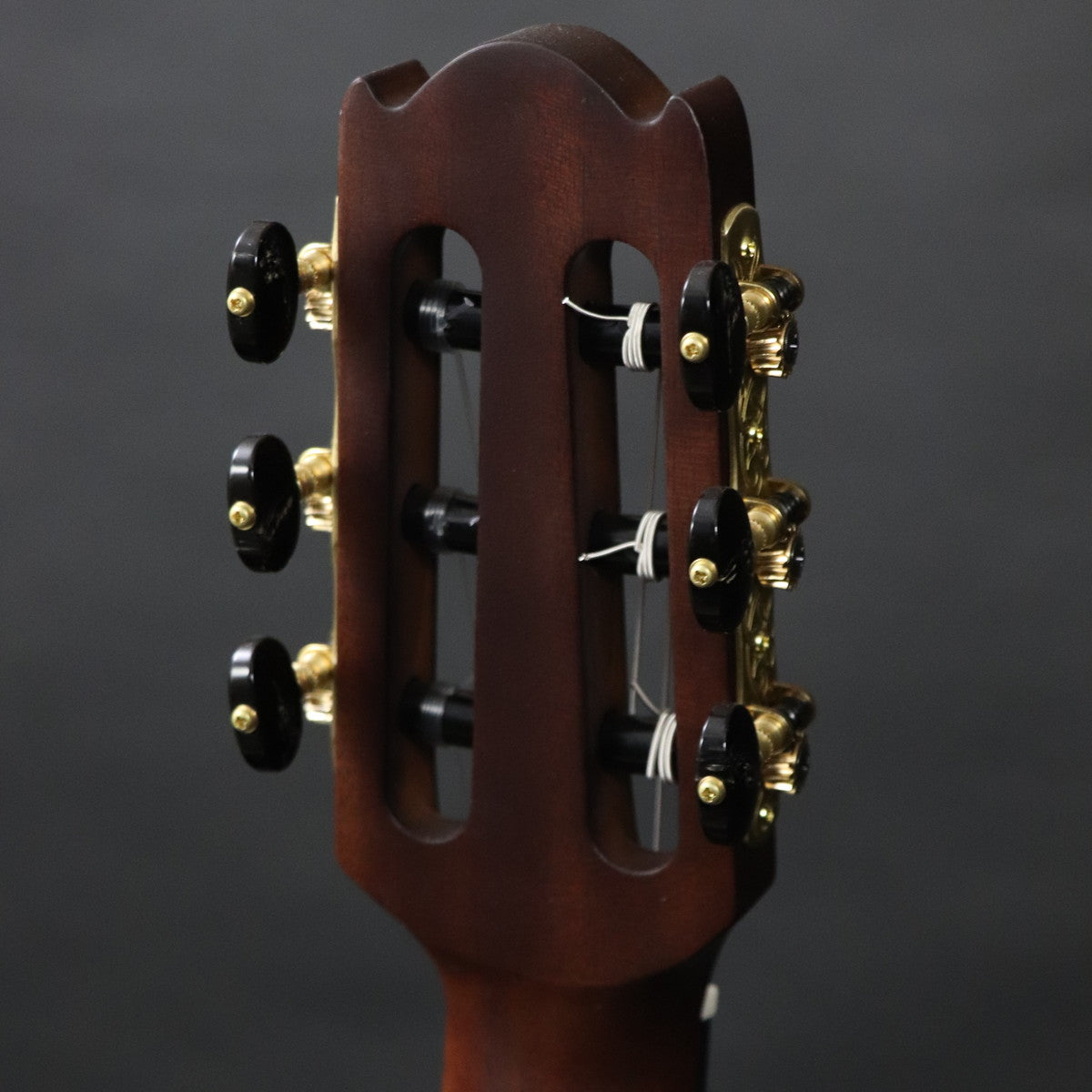 [SN ILK239A] YAMAHA / NTX5 Natural [11]