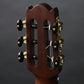 [SN ILJ233A] YAMAHA / NCX5 Natural [11]