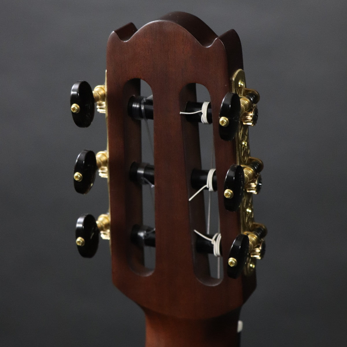 [SN ILJ233A] YAMAHA / NCX5 Natural [11]