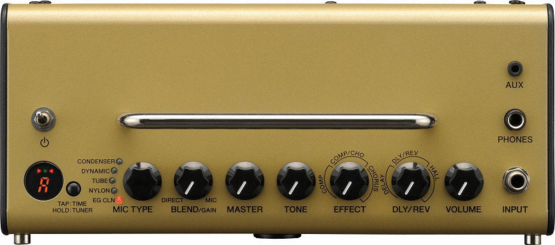 YAMAHA / SLG200N NT (Natural) THR5A Amplifier Included Set [08]
