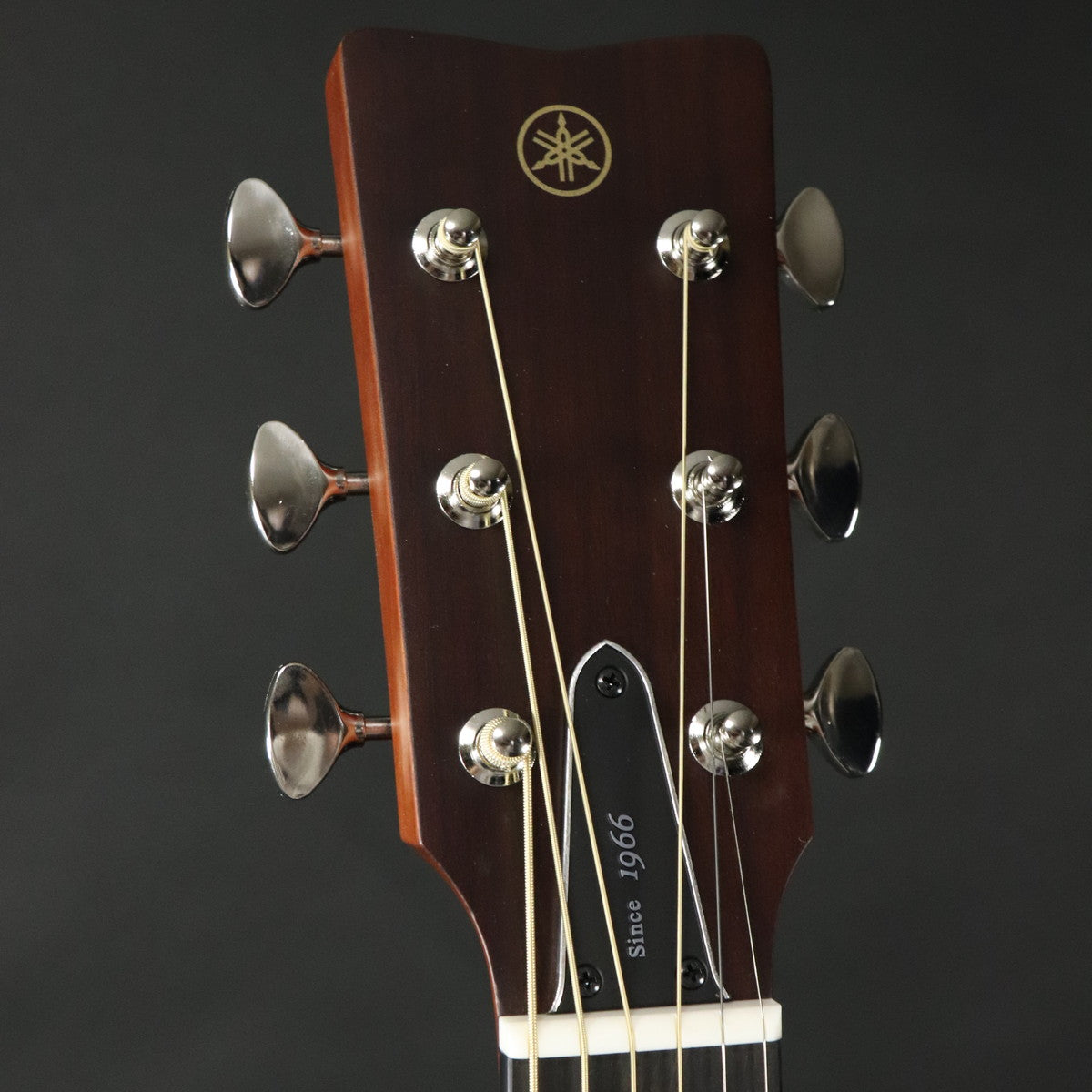 [SN ILL223A] YAMAHA / FGX5 GLOSS Vintage Natural [11]