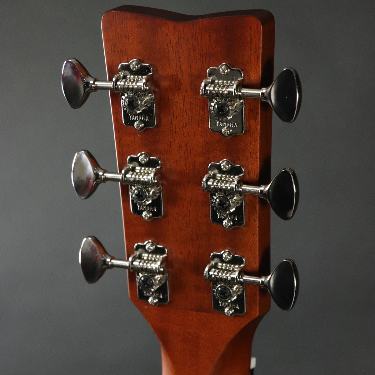 [SN ILL223A] YAMAHA / FGX5 GLOSS Vintage Natural [11]