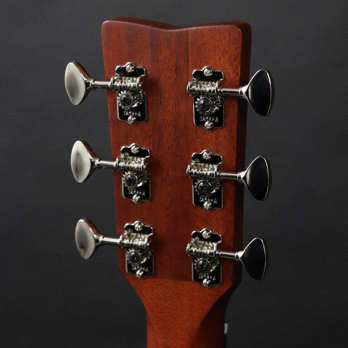 [SN ILM222A] YAMAHA / FSX5 GLOSS Vintage Natural [11]