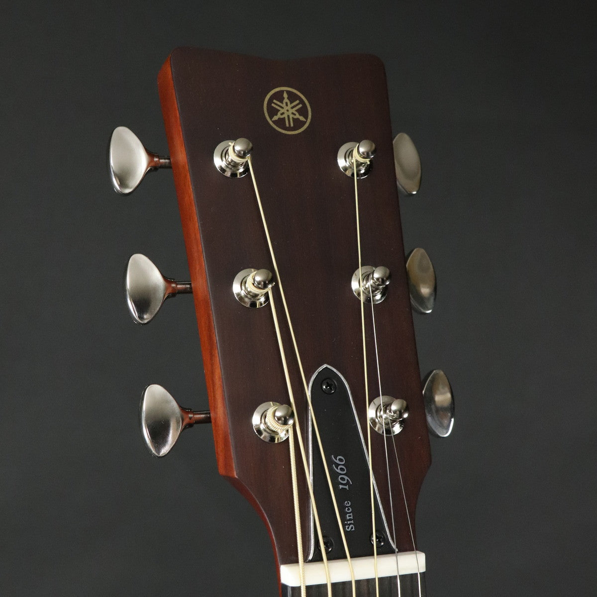 [SN ILM287A] YAMAHA / FSX5 GLOSS Vintage Natural [11]