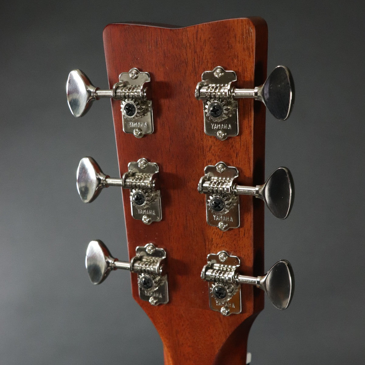 [SN ILM287A] YAMAHA / FSX5 GLOSS Vintage Natural [11]