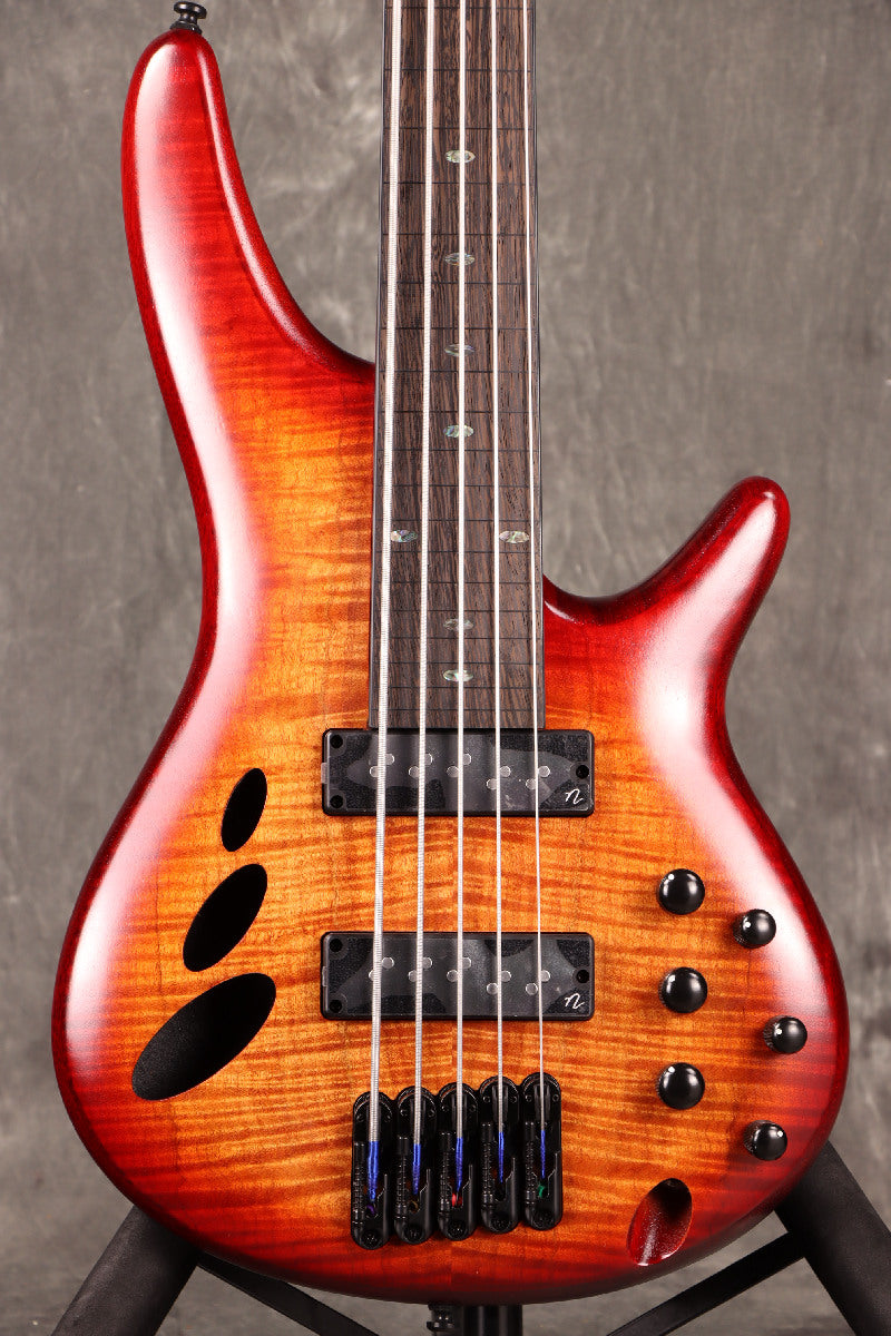 [SN I240206261] Ibanez / WORK SHOP SERIES SRD905F-BTL (Brown Topaz Burst Low Gloss) Ibanez [5-string fretless] [S/N I240206261]. [80]