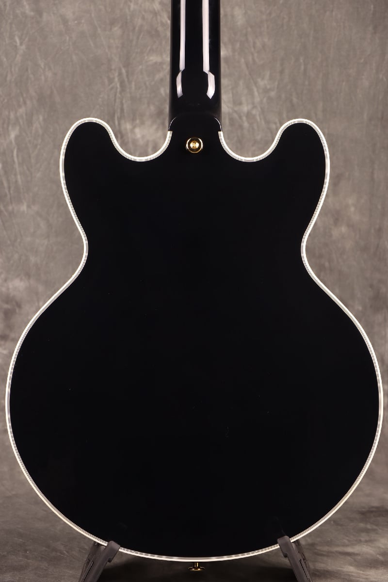 [SN L230893] Fujigen (FGN) / Masterfield MSA-HP-C/Black Fujigen [Semi-Aco made in Japan][S/N L230893]. [80]