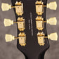 [SN L230893] Fujigen (FGN) / Masterfield MSA-HP-C/Black Fujigen [Semi-Aco made in Japan][S/N L230893]. [80]