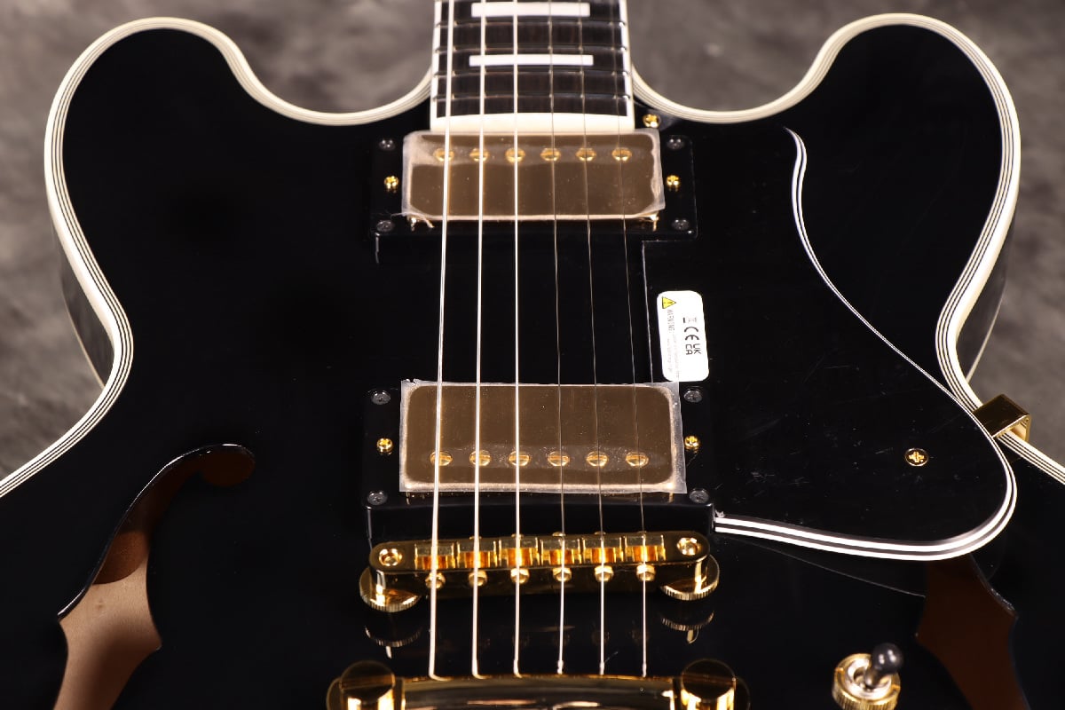 [SN L230893] Fujigen (FGN) / Masterfield MSA-HP-C/Black Fujigen [Semi-Aco made in Japan][S/N L230893]. [80]