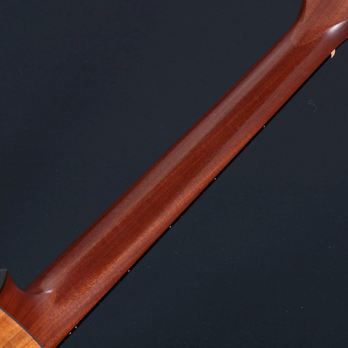 [SN 2103307483] USED Taylor / 224ce-K DLX (Made in Mexico / 2017) Taylor Eleaco Acoustic Guitar Acoustic Guitar 224ce-KOA [08]
