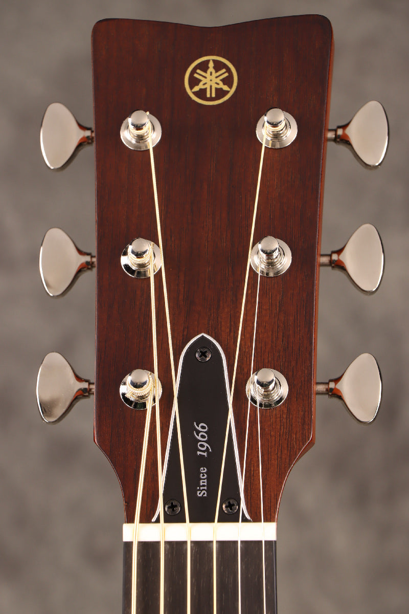 [SN IKP236A] YAMAHA / Red Label FG5 GLOSS (FG5G) Vintage Natural Yamaha Made in Japan [S/N IKP236A]. [80]