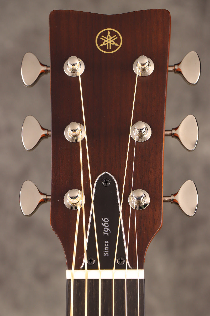 [SN IKP235A] YAMAHA / Red Label FGX5 GLOSS (FGX5G) Vintage Natural Yamaha Eleaco Made in Japan [S/N IKP235A]. [80]