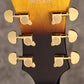 [SN PW24060495] Ibanez / AF95FM-AYS Antique Yellow Sunburst Ibanez [S/N PW24060495]. [80]