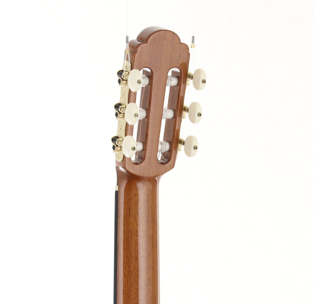 USED LEONA AMALIO / R65-1 [12]