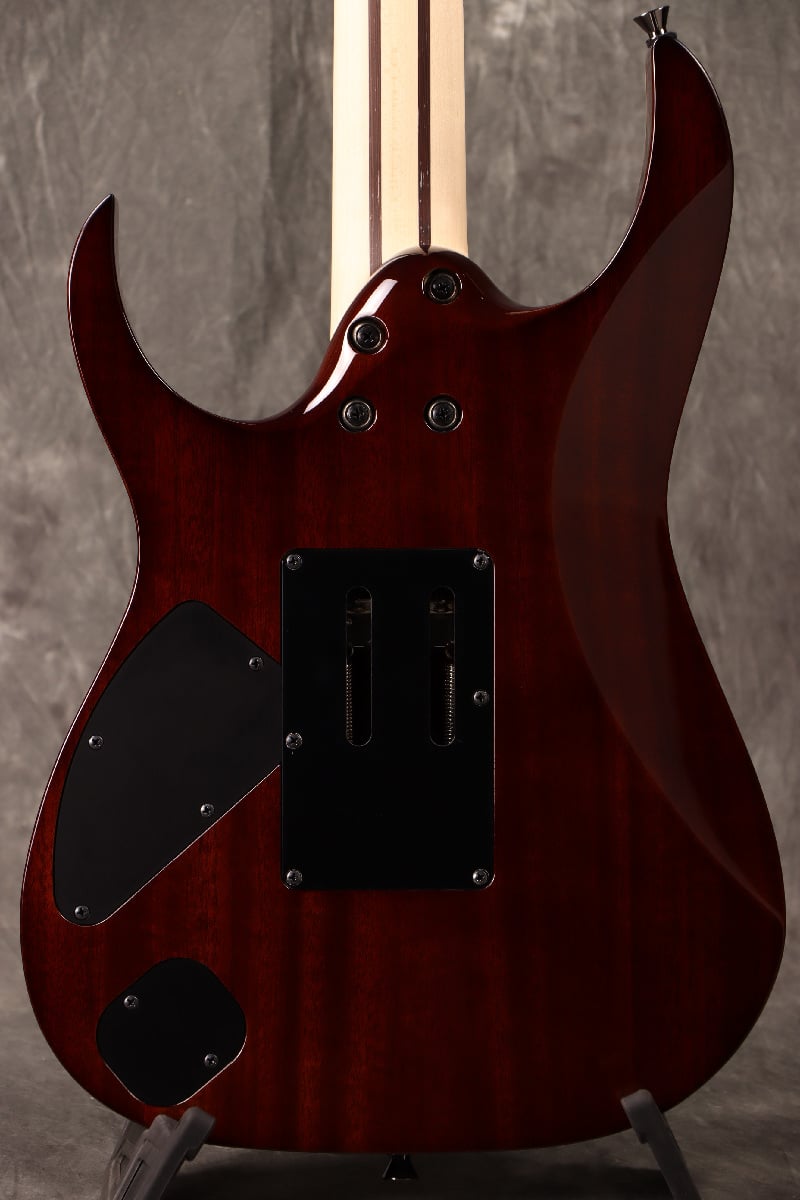 [SN F2422041] Ibanez / j.custom RG8570-BSR (Brownish Sphalerite) Ibanez [Made in Japan][SPOT MODEL] [S/N F2422041] [80]