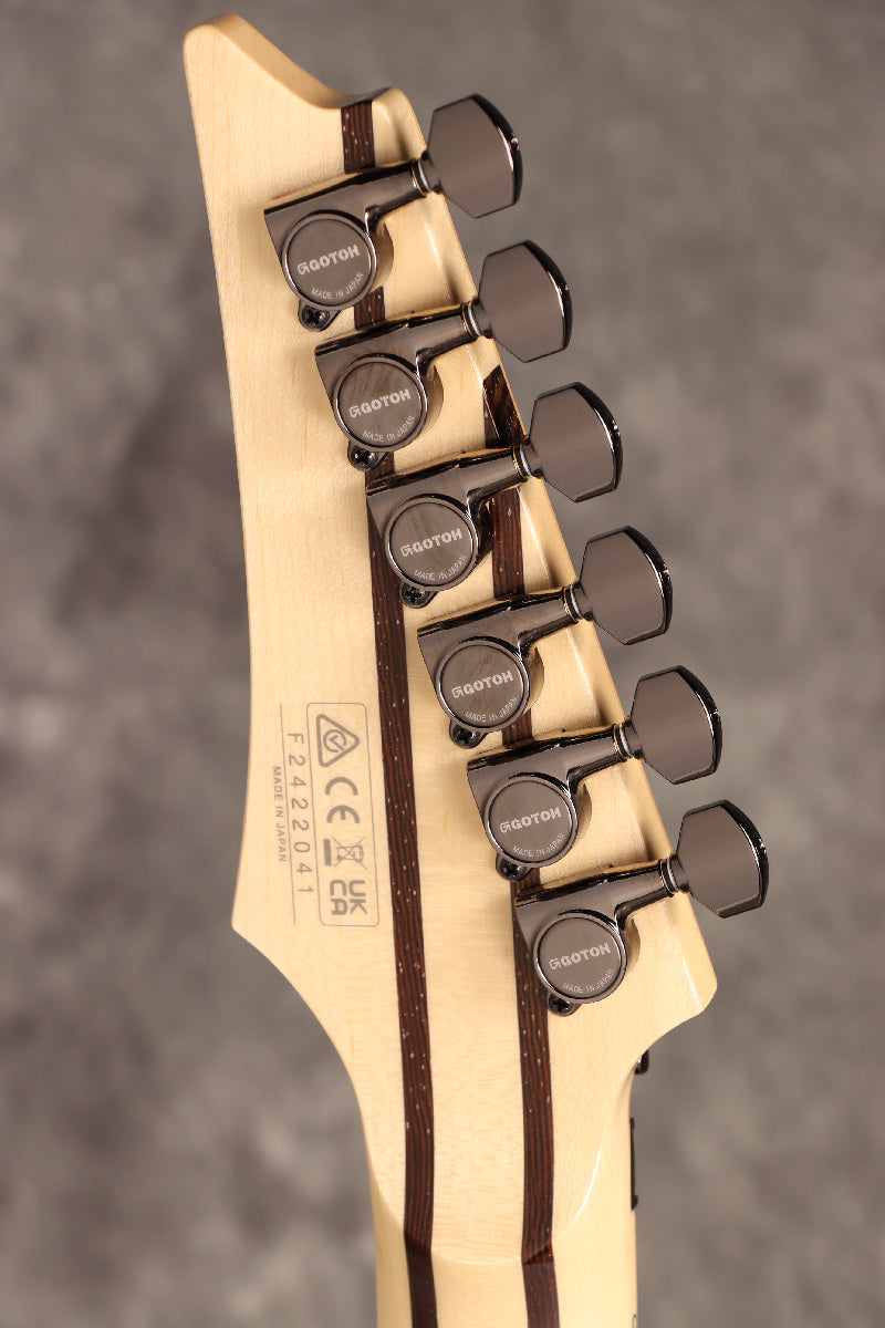 [SN F2422041] Ibanez / j.custom RG8570-BSR (Brownish Sphalerite) Ibanez [Made in Japan][SPOT MODEL] [S/N F2422041] [80]