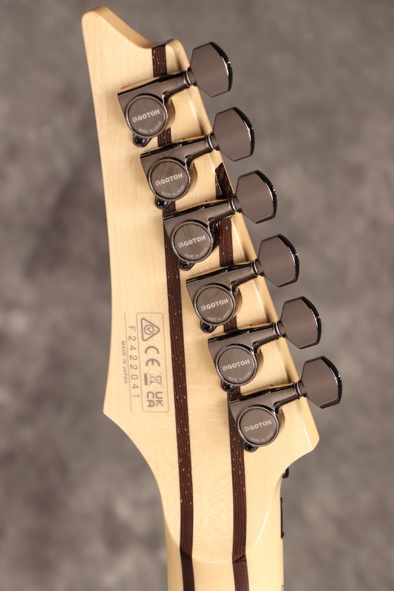 [SN F2422041] Ibanez / j.custom RG8570-BSR (Brownish Sphalerite) Ibanez [Made in Japan][SPOT MODEL] [S/N F2422041] [80]