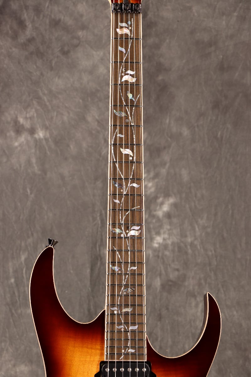 [SN F2422041] Ibanez / j.custom RG8570-BSR (Brownish Sphalerite) Ibanez [Made in Japan][SPOT MODEL] [S/N F2422041] [80]