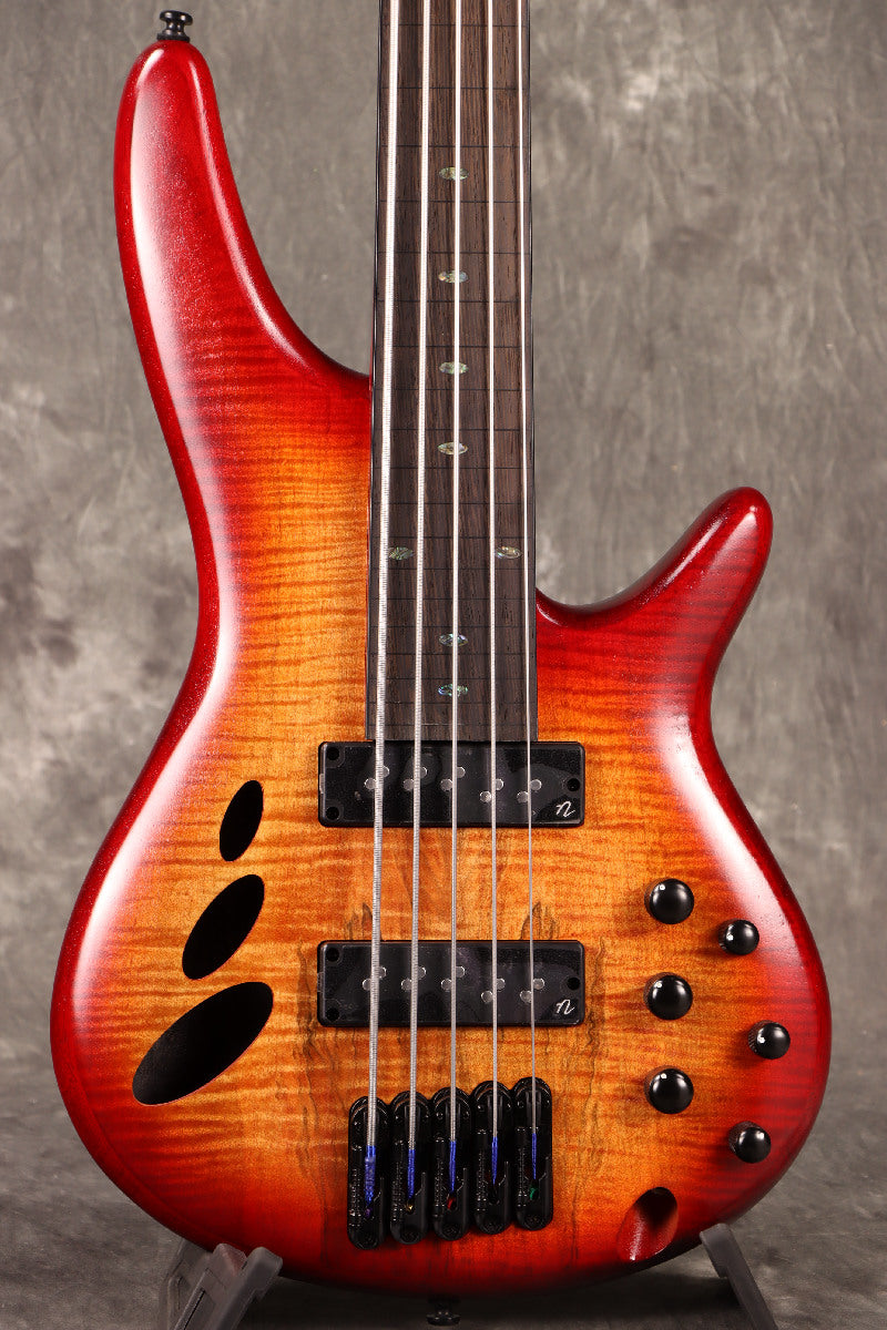 [SN I241002175] Ibanez / SRD905F-BTL [5-string fretless bass] [S/N I241002175] Ibanez [80]