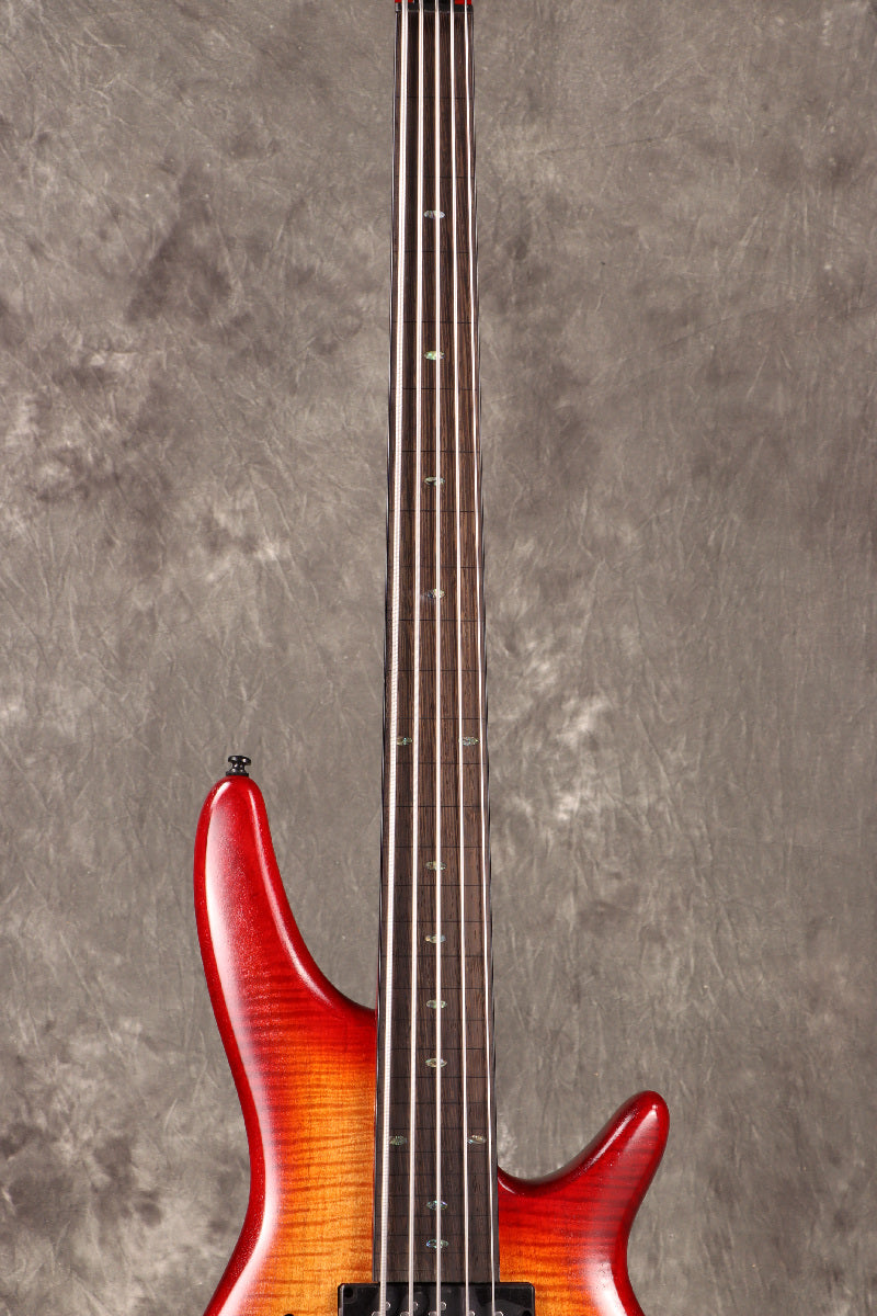 [SN I241002175] Ibanez / SRD905F-BTL [5-string fretless bass] [S/N I241002175] Ibanez [80]